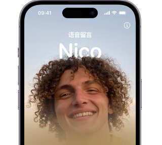 友谊苹果15服务站分享iPhone15实时语音留言开启方法 