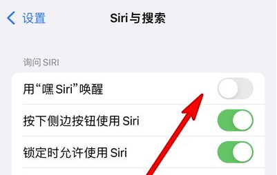 友谊苹果13维修分享iPhone 13怎么唤醒 Siri  