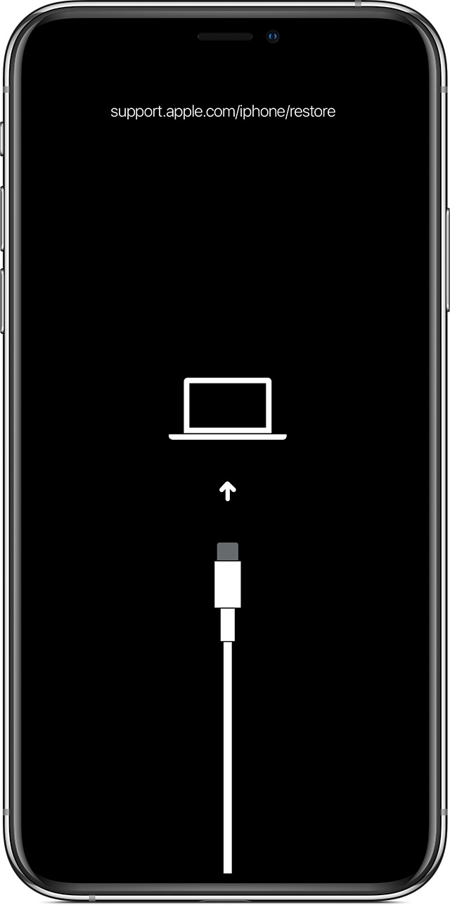 友谊苹果手机维修分享iPhone 输入锁屏密码出现方框，且原密码不正确怎么办 